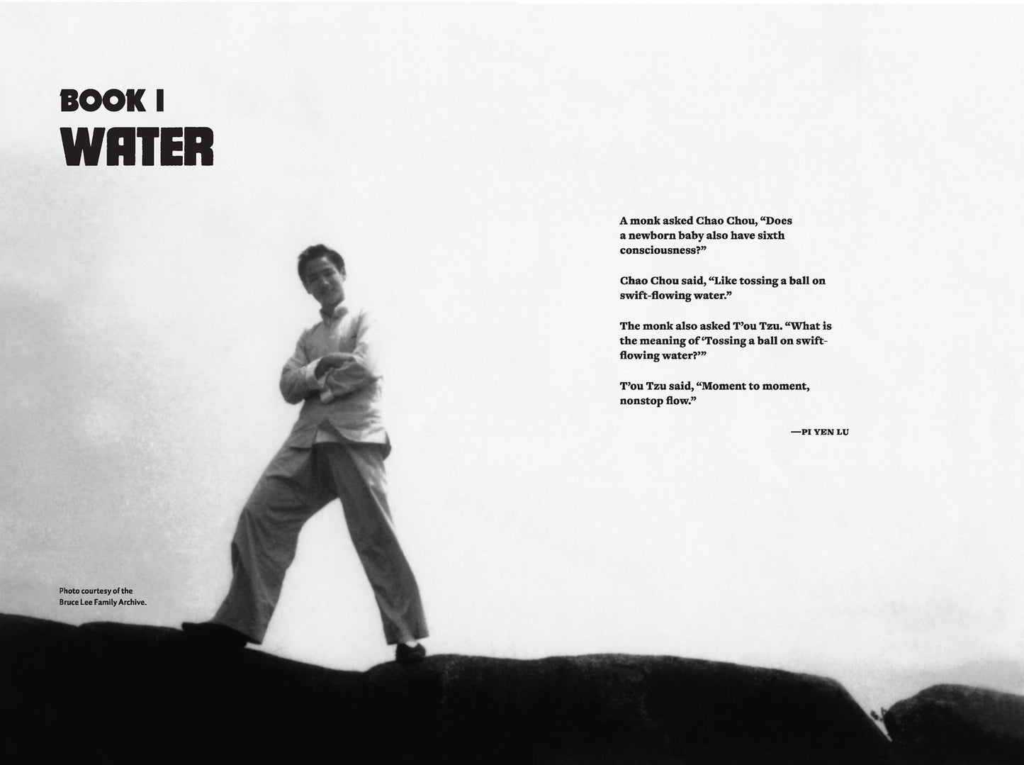 Water Mirror Echo: Bruce Lee and the Making of Asian America