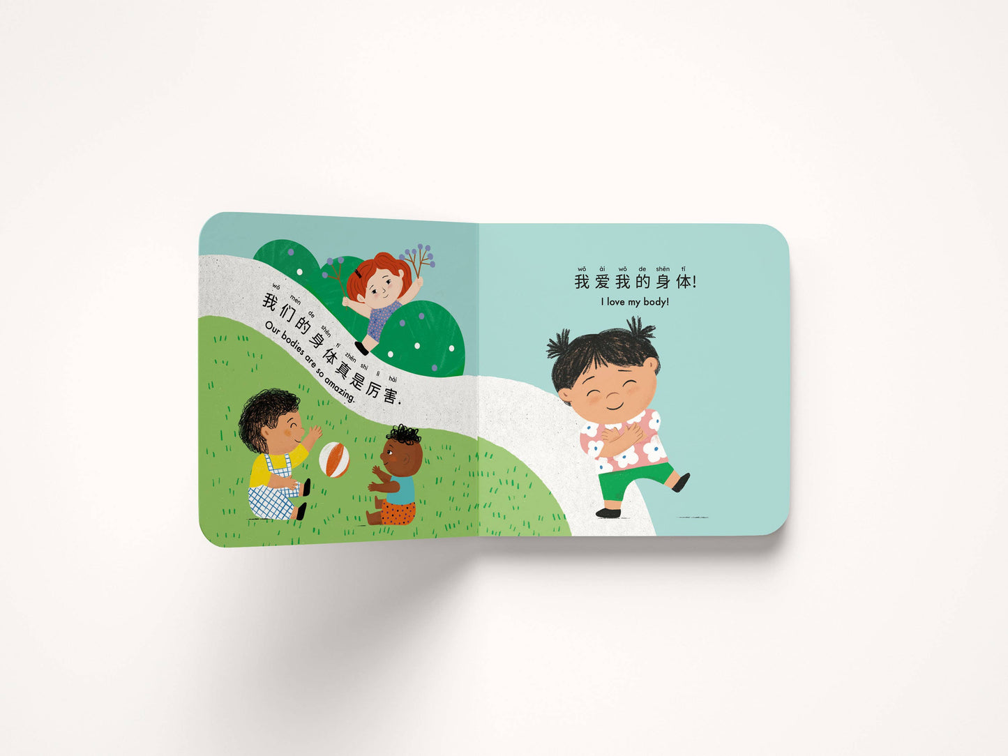 My Amazing Body - Mandarin