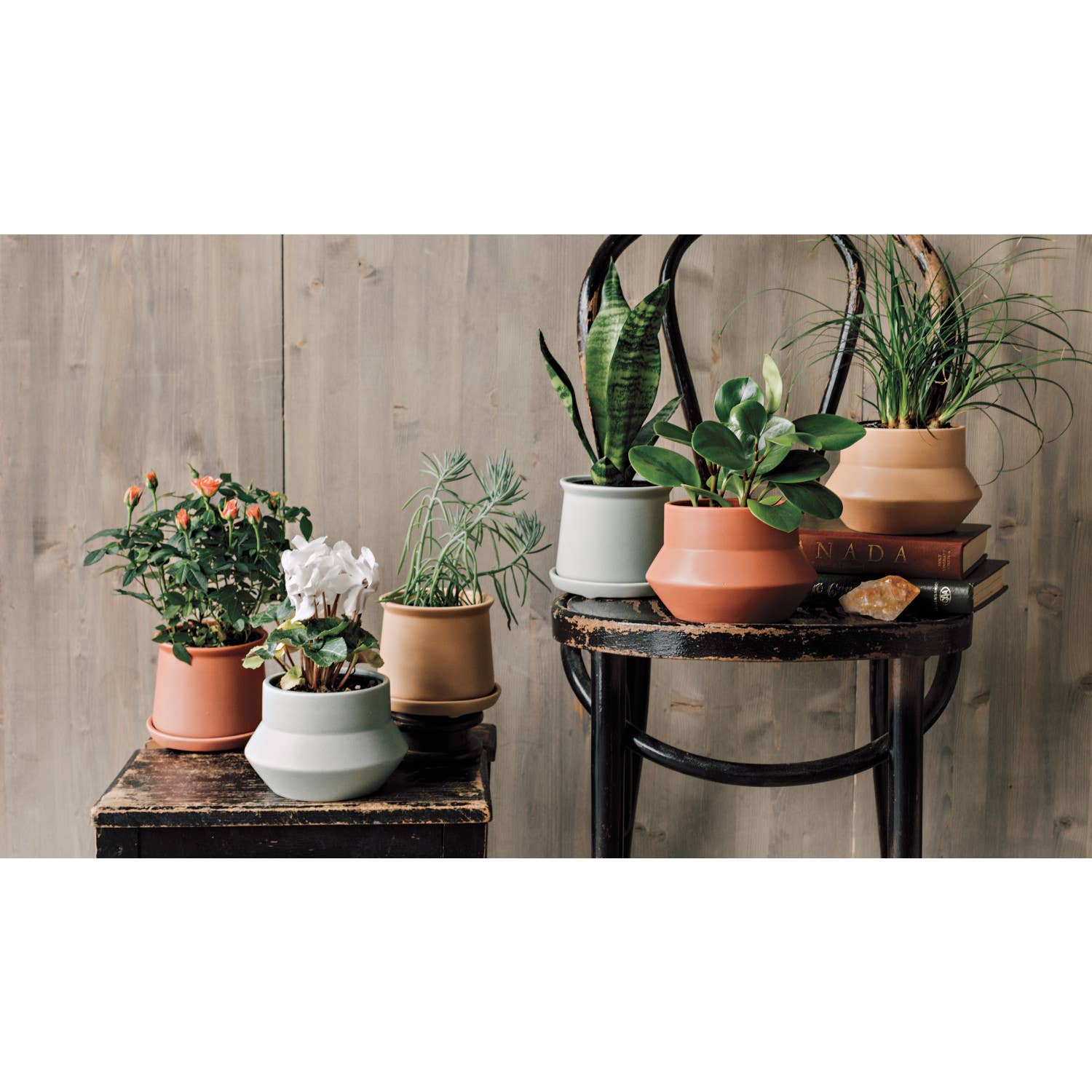 clay indoor plant pots Clay Mesa Plant Pot