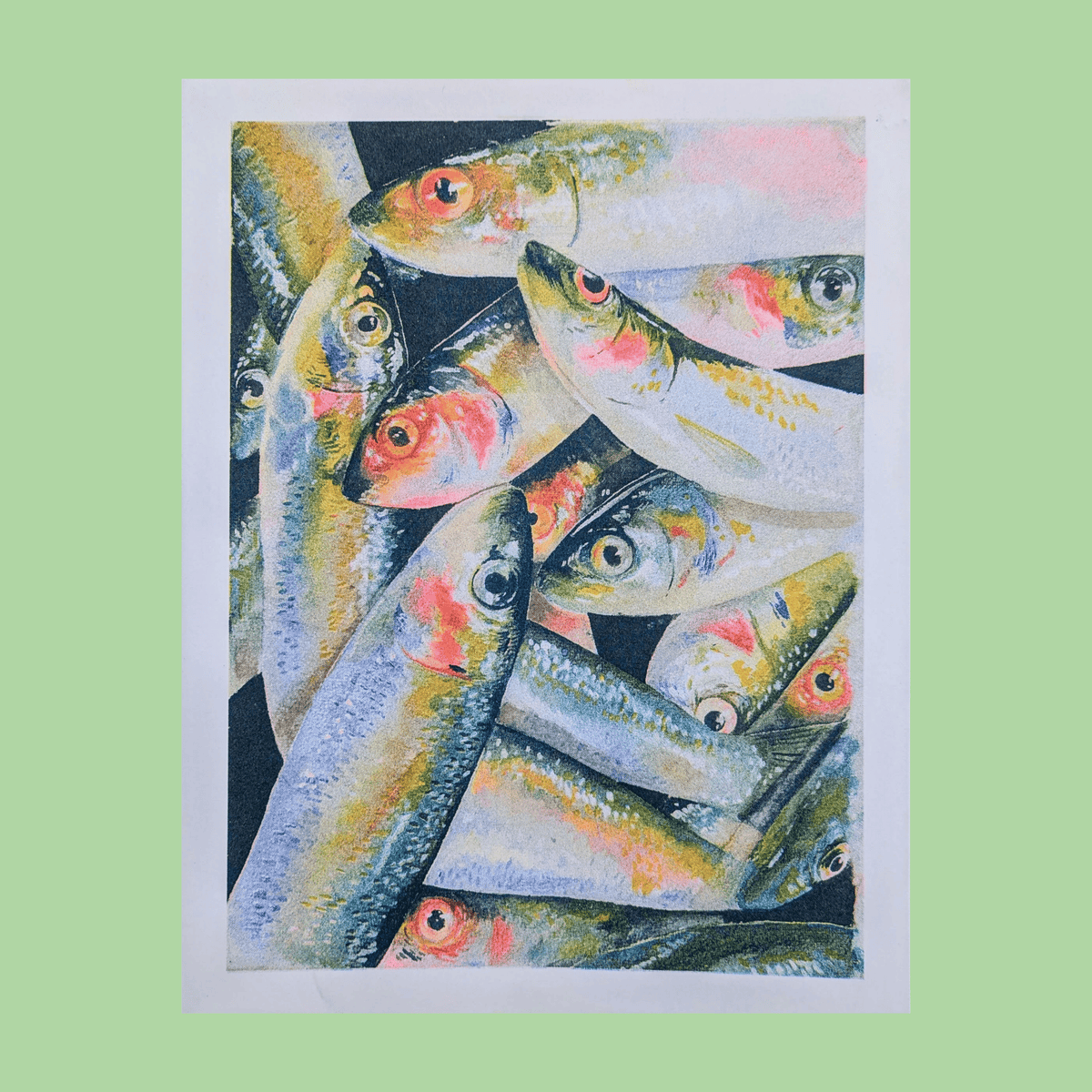 Watercolour Sardine Fish Pile Risograph Print