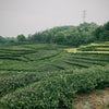 Decaf Osmanthus Black Tea