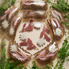 Marguerite Daisy Flower Hair Clip Set