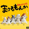 Kung Fu Animals Blind Box