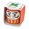 Lucky Plant - Daruma Doll