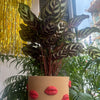 Lips Galore Planter with Plate