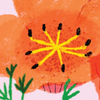 Cali Poppy Sticker
