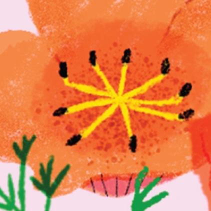Cali Poppy Sticker
