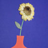 Bauhaus Dried Sunflower Card