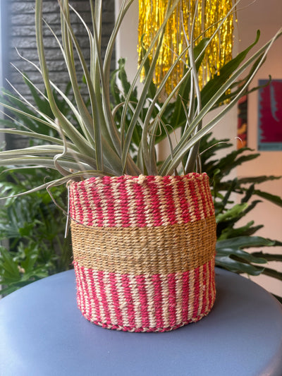 XS Storage Plant Basket: Colorful