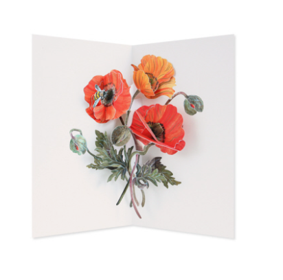 Poppies Pop Up Card