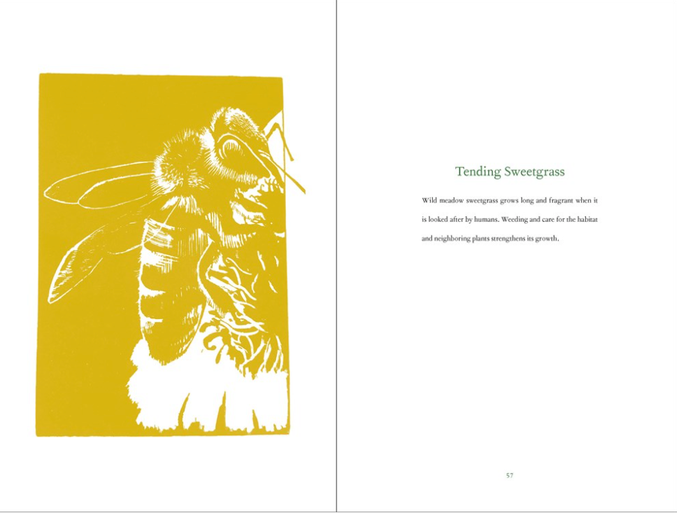 Braiding Sweetgrass