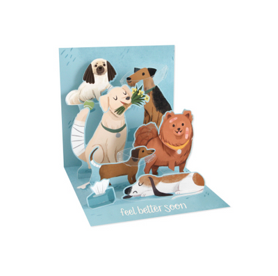 Get Well Dogs Pop Up Card