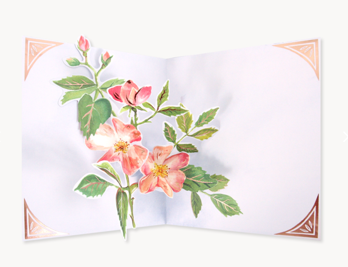Seed Packet Card – On Waverly