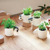 Monokuro Animals - Assorted 4 Styles