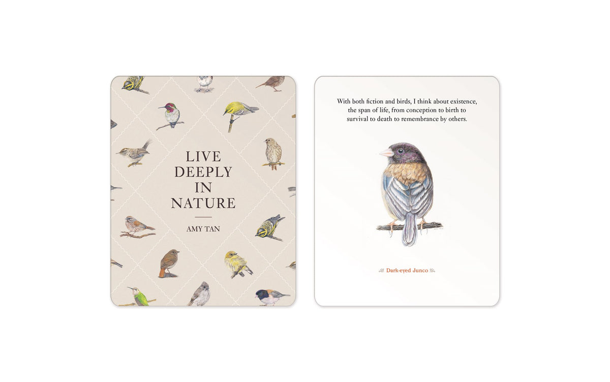 The Backyard Bird Deck