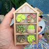 Greenhouse Fidget Clicker