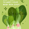 Bok Choy Baby Card
