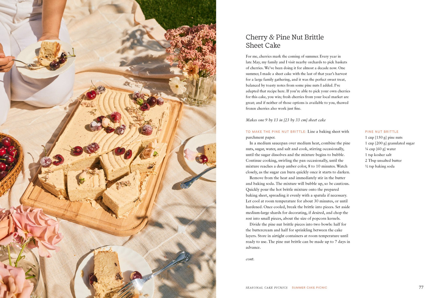 Cake Picnic