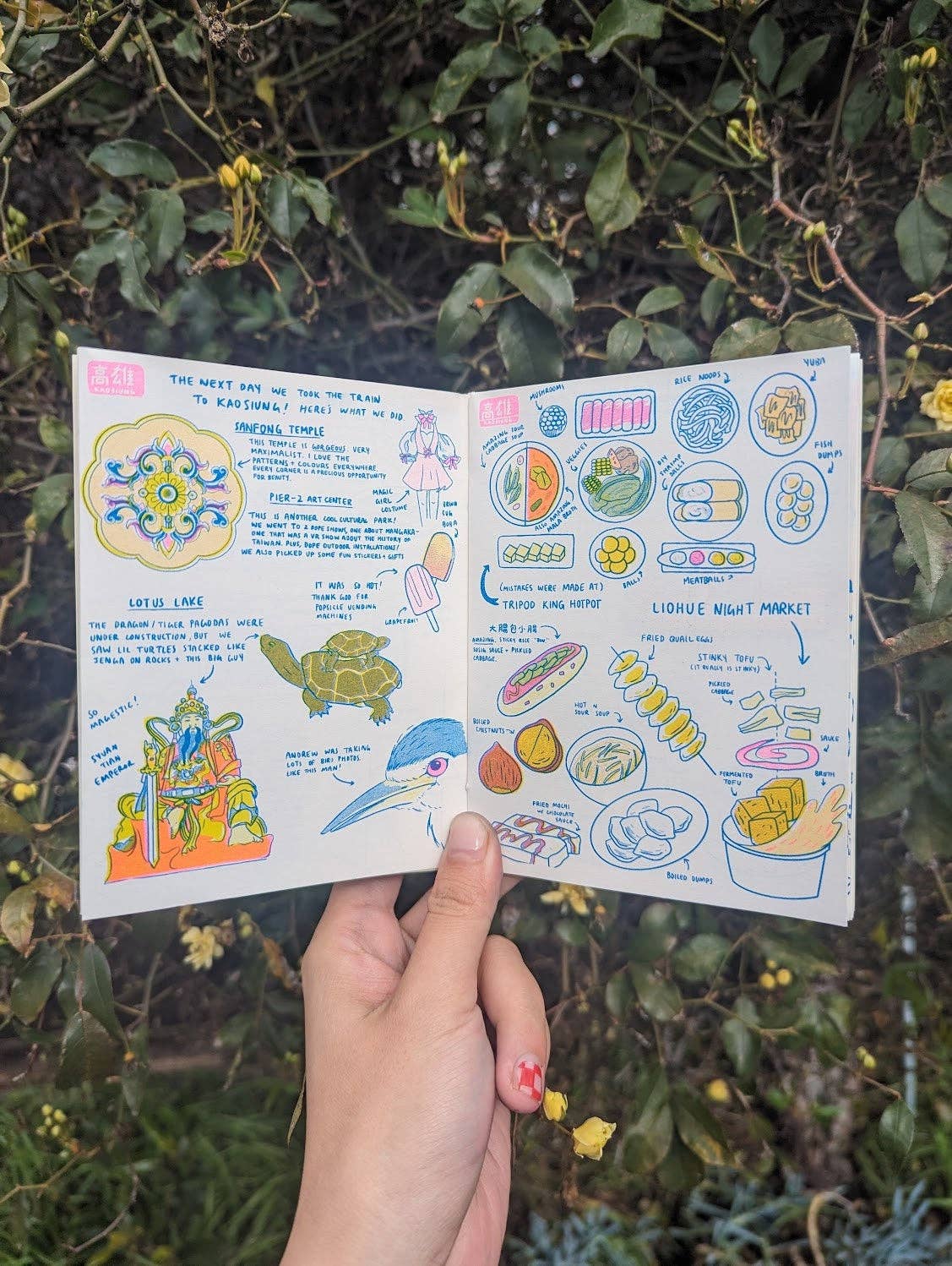 Zines – On Waverly