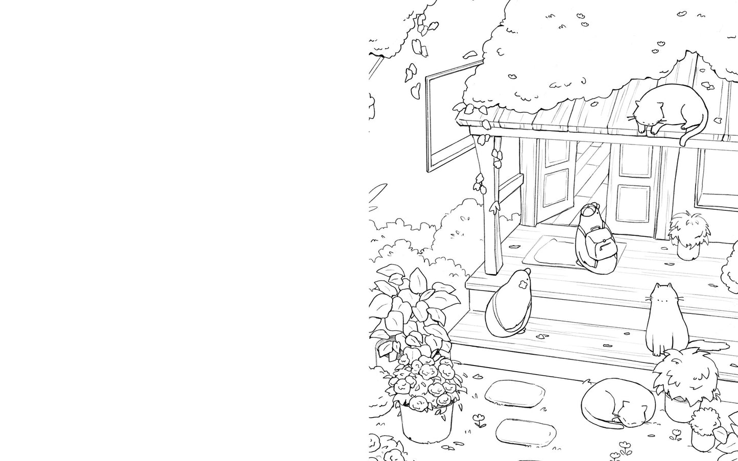 Curious Ducks & Comfy Cats