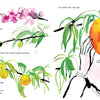 Every Peach Is a Story
