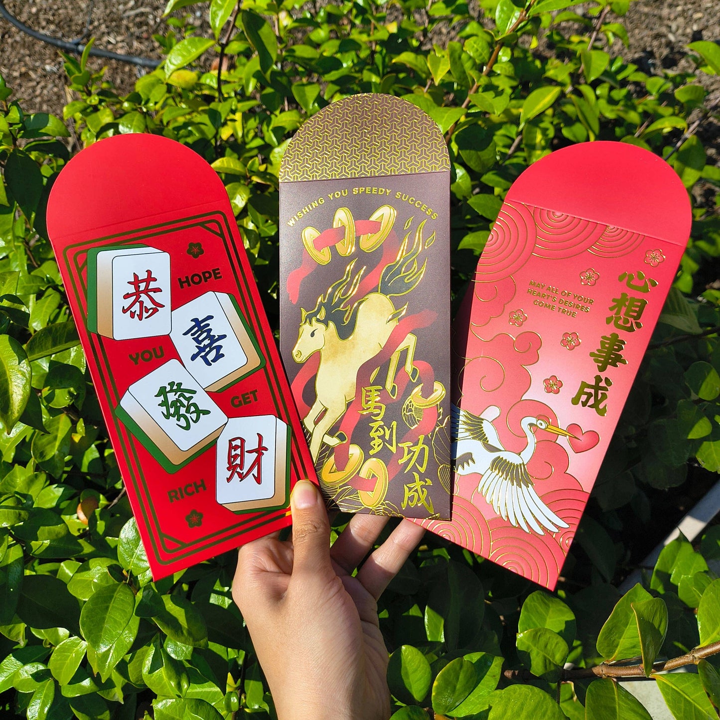 Lunar New Year Red Envelope Assorted Bundle