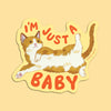 "I'm Just A Baby" Kitten Sticker