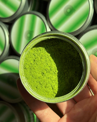 Uji Ceremonial Matcha