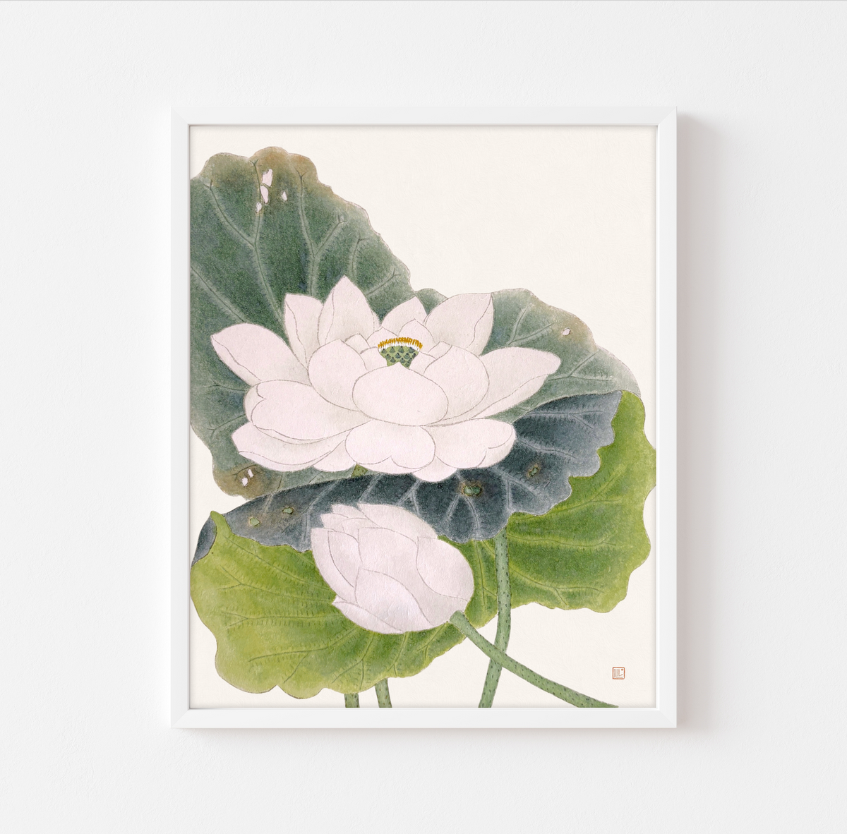 White Lotus Print